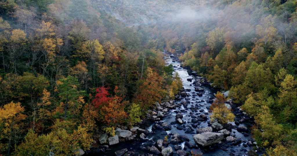 Go EVerywhere - Best Electric Scenic Drives to See Fall Foliage